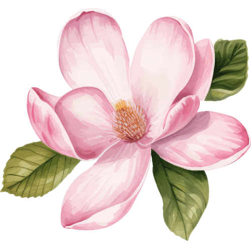 Magnolia-bg